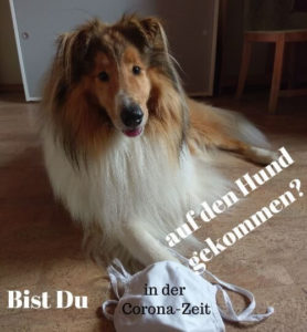 Als Hundebesitzer mit dem Hund trainieren trotz Corona-Zeit.